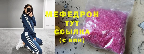индика Медногорск