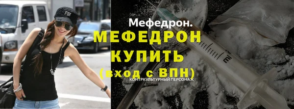 индика Медногорск