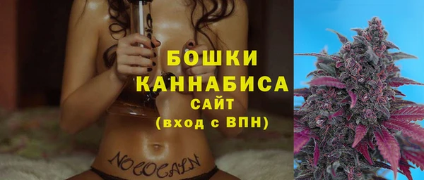 СК Мегион