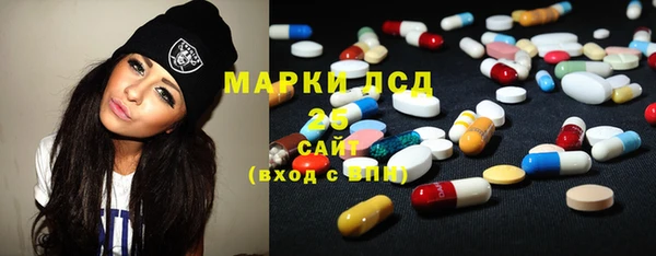 индика Медногорск