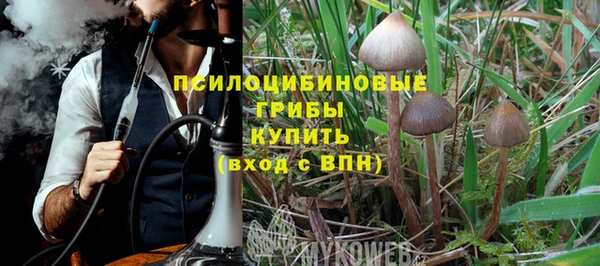 индика Медногорск