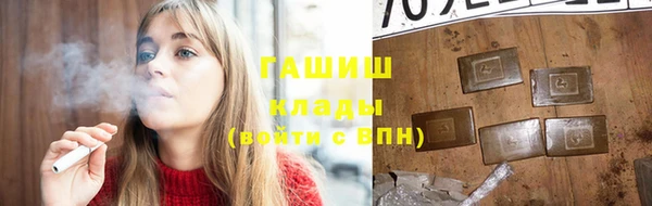 индика Медногорск