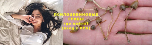индика Медногорск