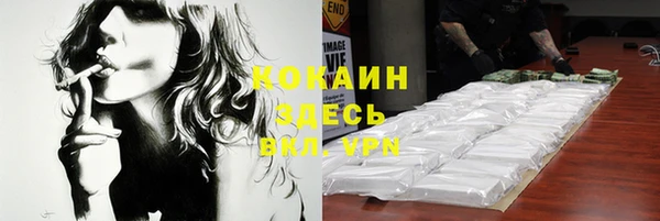 индика Медногорск