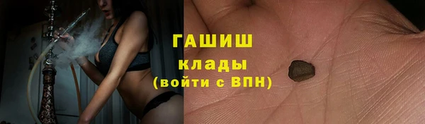 индика Медногорск