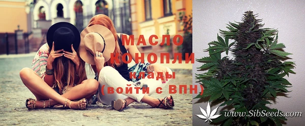 индика Медногорск