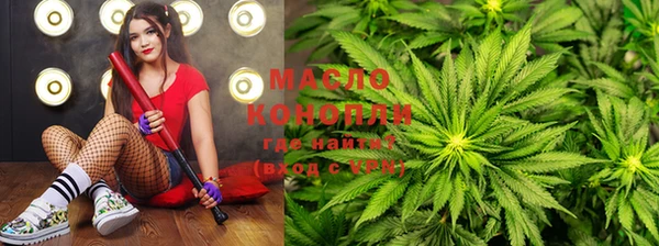 индика Медногорск