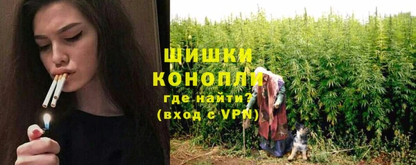 индика Медногорск