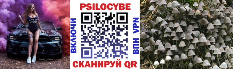 Купить закладки  Кашин  Галлюциногенные грибы Cubensis 
